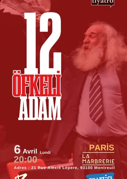12 Öfkeli Adam